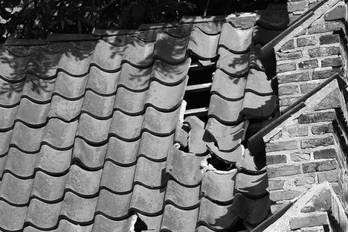 Verschoven en gebroken dakpannen zorgen voor daklekkage in Gouda